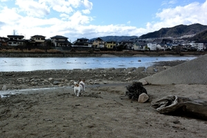DSC_9104c.jpg