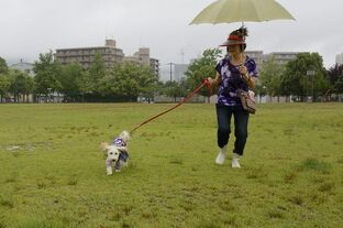 DSC_9123c.jpg