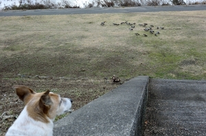 DSC_9131c.jpg