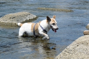 DSC_9146c.jpg