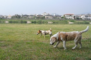 DSC_9151c.jpg