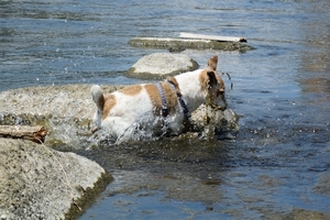 DSC_9151c.jpg