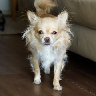 DSC_9175c.jpg