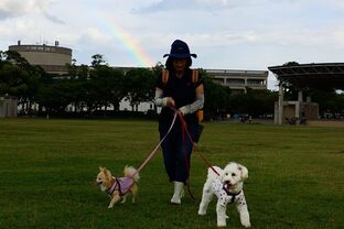 DSC_9183c.jpg