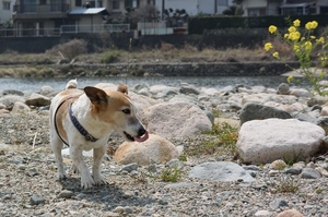 DSC_9495c.jpg