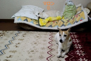 DSC_9697c.jpg