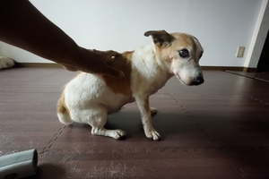 DSC_9820c.jpg