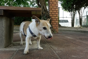 DSC_9891c.jpg