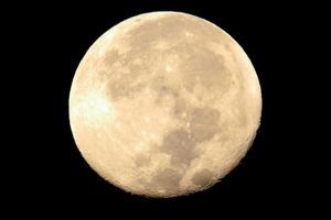 DSC_9905c.jpg