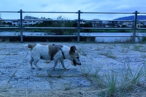 DSC_9952c.jpg