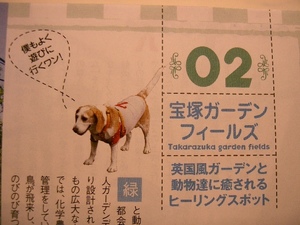 マロン雑誌に登場c.JPG