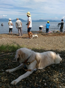 IMAG0753c.jpg