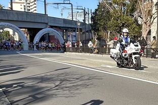 IMG_0510c.jpg