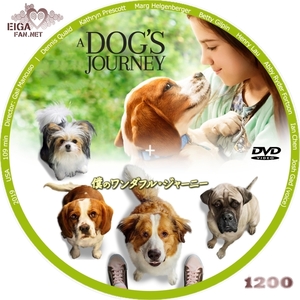 a-dogs-journeyc.jpg