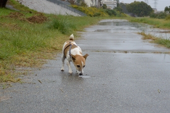 aw_0906.jpg