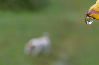 aw_0915.jpg