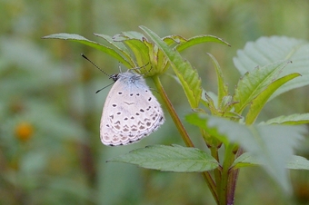 aw_0921.jpg